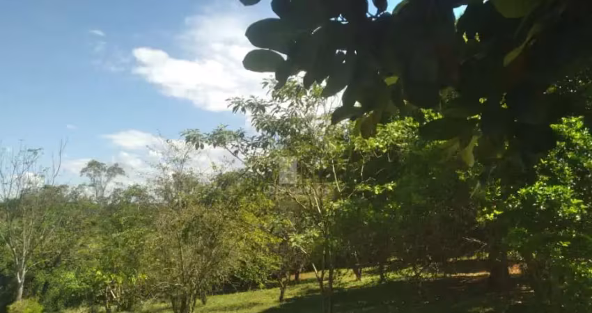 Chácara / sítio com 1 quarto à venda no Limoeiro, Londrina 