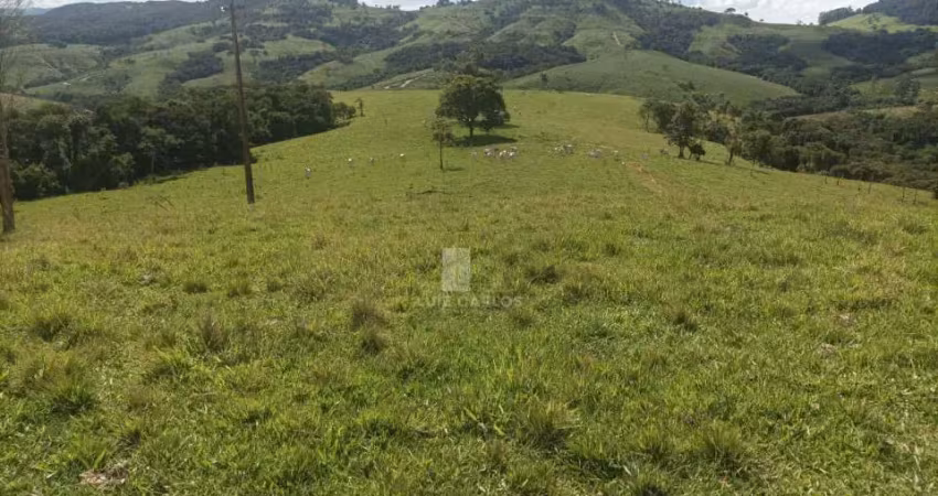 Chácara / sítio com 1 quarto à venda no Centro, Ibaiti 