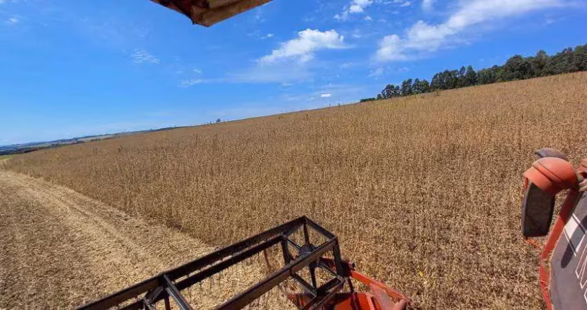 Chácara / sítio com 1 quarto à venda no Centro, São Jerônimo da Serra 