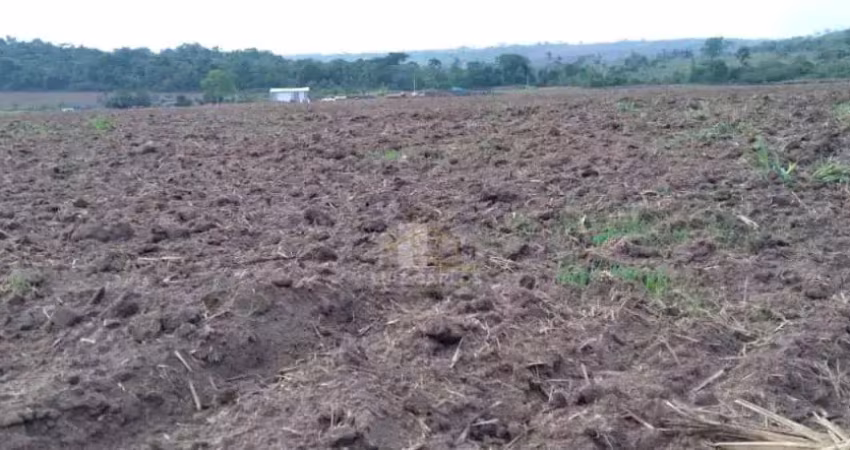 Chácara / sítio com 1 quarto à venda no Centro, Guarantã do Norte 