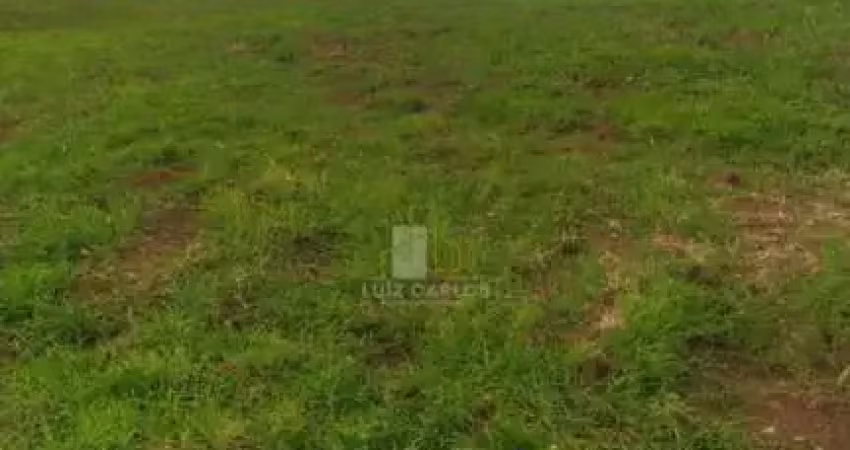 Chácara / sítio com 1 quarto à venda no Centro, Ibiporã 