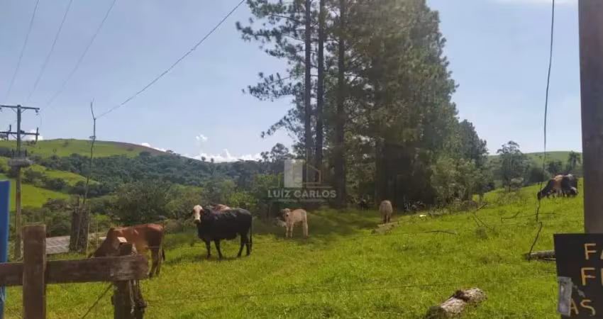 Chácara / sítio com 1 quarto à venda no Centro, Sertanópolis 