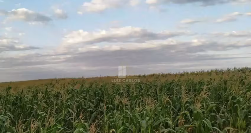 Chácara / sítio com 1 quarto à venda no Frei Timóteo, Jataizinho 