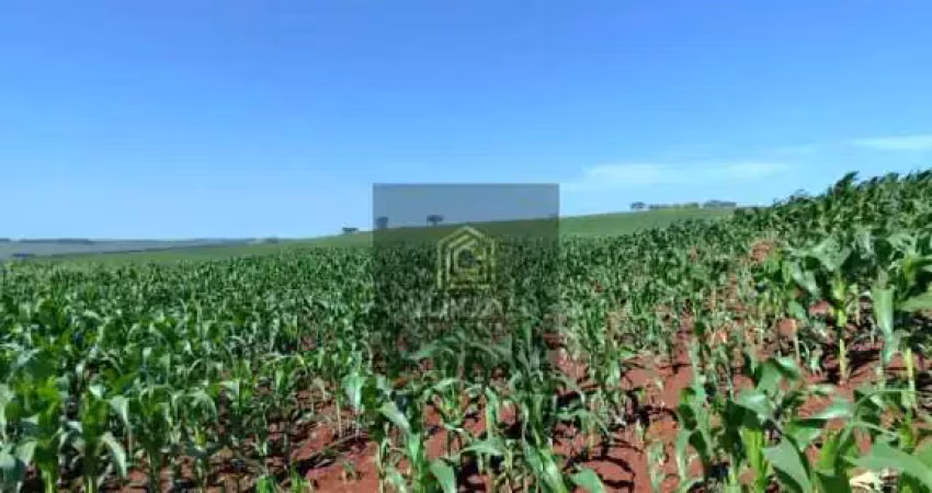Chácara / sítio com 1 quarto à venda no Centro, Primeiro de Maio 