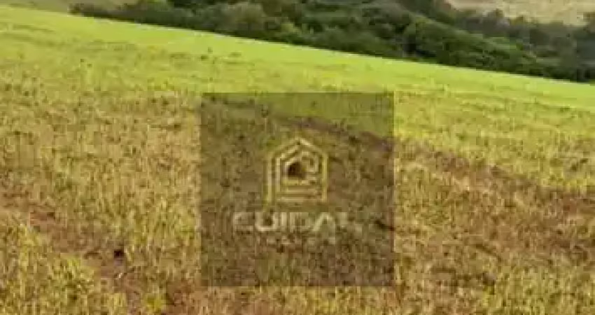 Chácara / sítio com 1 quarto à venda no Centro, Ribeirão do Pinhal 