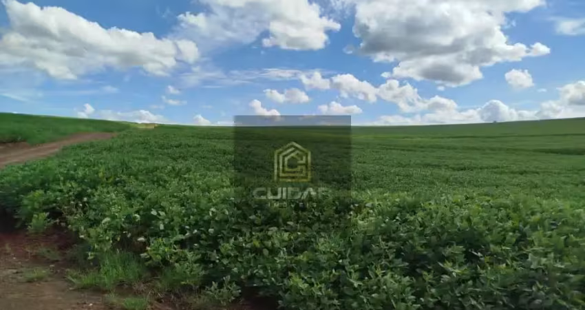 Fazenda/sítios/chácaras á venda centro cornélio procopio