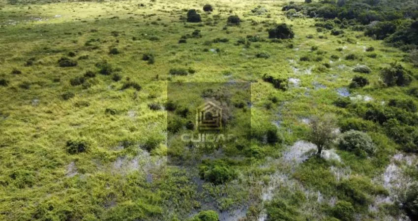 Chácara / sítio com 21 quartos à venda no Centro, Barão de Melgaço 