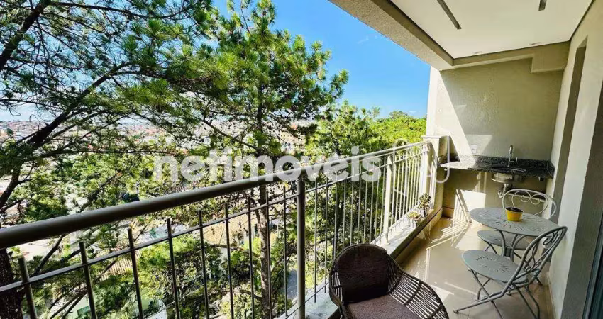 Apartamento com 3 quartos à venda na Rua Deputado Salim Nacur, Santa Amélia, Belo Horizonte