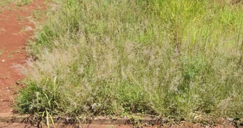 Terreno à venda no FAG, Cascavel 