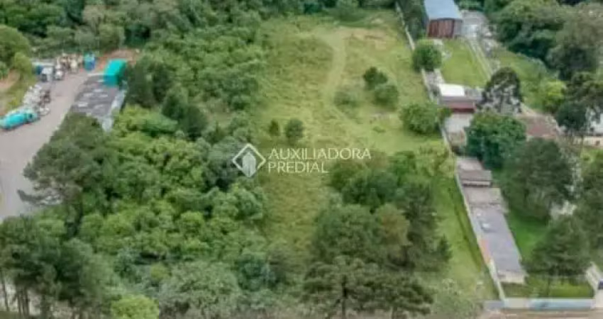 Terreno comercial à venda na Rua dos Palmenses, 4657, São Miguel, Curitiba