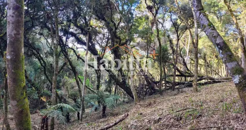 Terreno à venda no Alpino, São Bento do Sul 