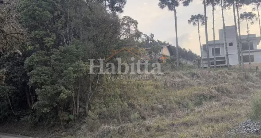 Terreno à venda no Colonial, São Bento do Sul 