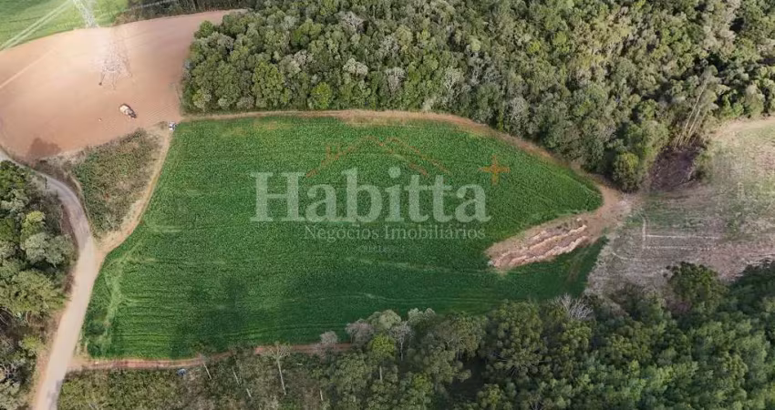 Terreno para venda em campo alegre, bateias de baixo