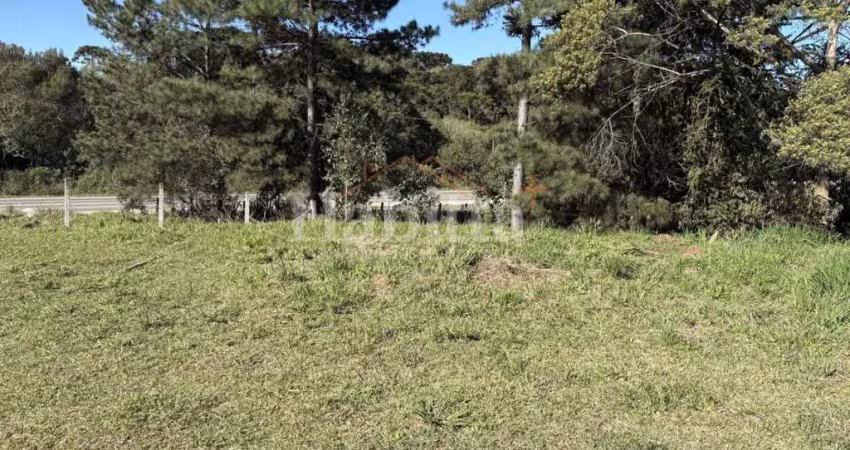 Terreno à venda na Serra Alta, São Bento do Sul 