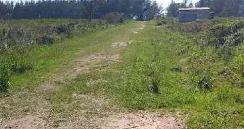 50m do mar. terreno escriturado de 390m² em frente a restinga. beira mar. frente ao acesso a praia