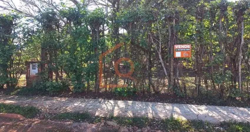 Chácara / sítio à venda na Avenida Daniel Branco Haddad, 460, Parque Planalto, Araraquara