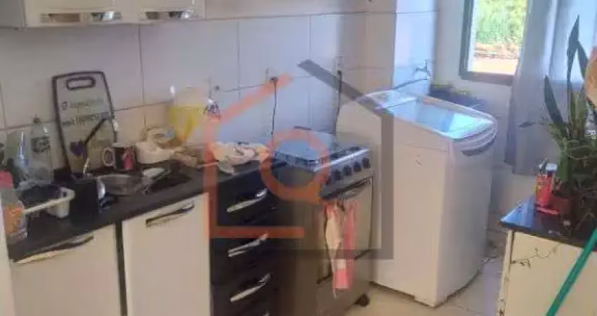 Aluguel de apartamento padrao no jardim residencial paraiso em araraquara