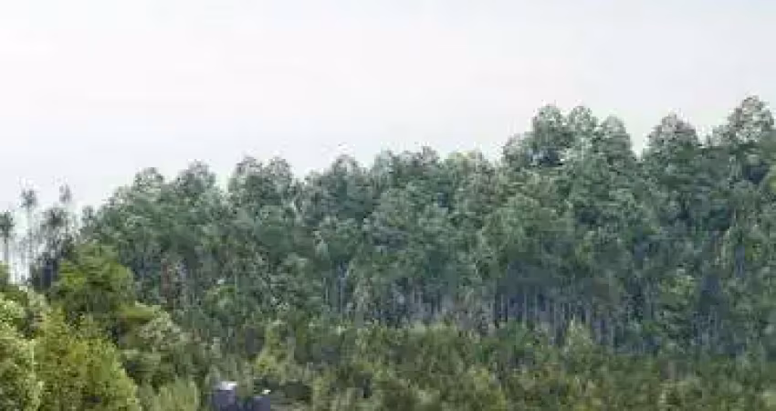 Lote - seu lugar nas montanhas está aqui! lotes exclusivos em pedra azul | es