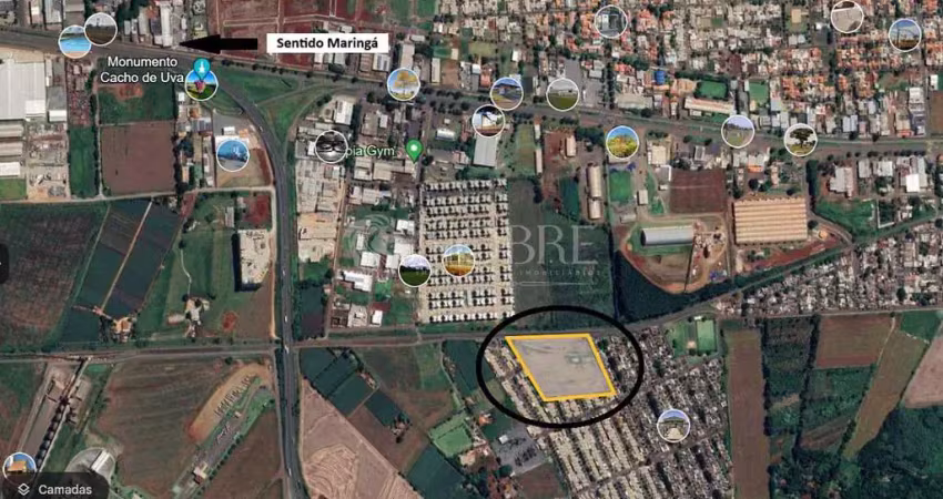 Área de 30.000 m² em marialva (ideal para casa verde amarela e verticalização)