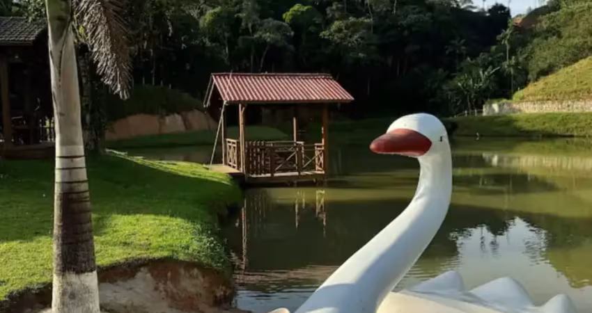 Chácara / sítio com 7 quartos à venda na Rua Prefeito José Koering, Águas Mornas, Santo Amaro da Imperatriz