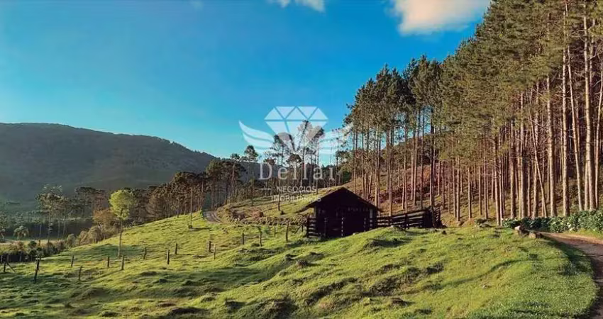Terreno para venda em rancho queimado, invernadinha