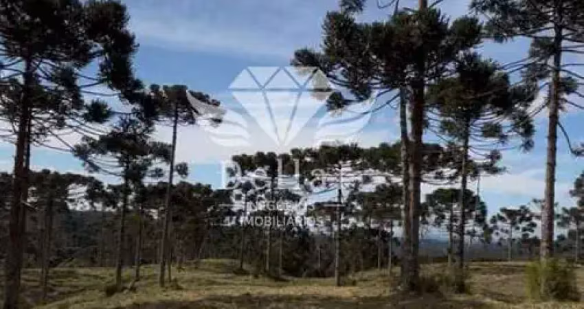 Terreno para venda em rancho queimado, invernadinha