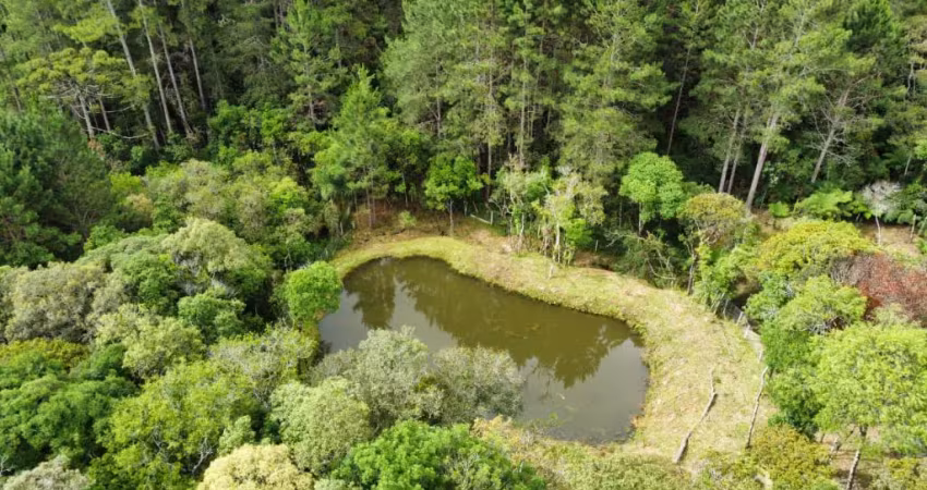 ÁREA A VENDA APROXIMADAMENTE 4.000m2