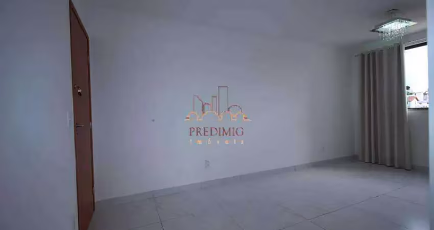 Apartamento à venda, 2 quartos, 1 suíte, 2 vagas, santa amélia - belo horizonte/mg