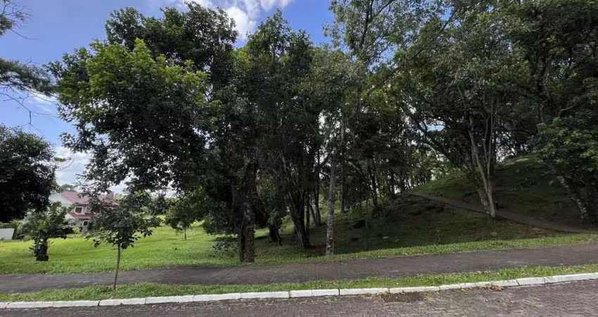 Terreno em condomínio fechado à venda na Avenida Leo Kraether, 1566, Country, Santa Cruz do Sul