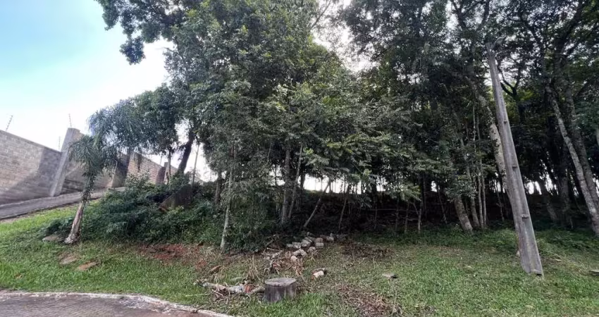 Terreno em condomínio fechado à venda na Avenida Leo Kraether, 1566, Country, Santa Cruz do Sul