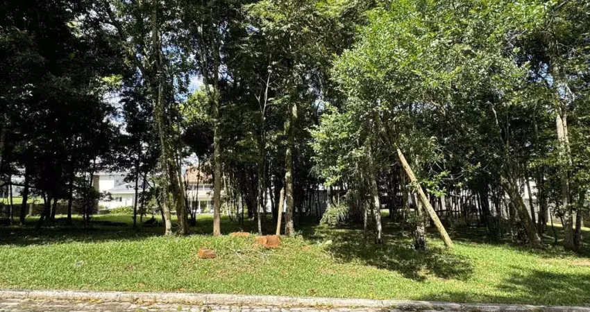 Terreno em condomínio fechado à venda na Avenida Leo Kraether, 1566, Country, Santa Cruz do Sul