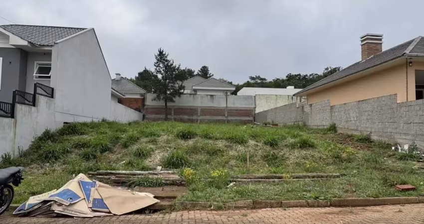 Terreno à venda na Avenida Leo Kraether, 2700, Country, Santa Cruz do Sul