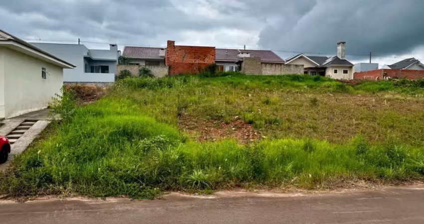 Terreno à venda na Rua Blumen Garten, 00, João Alves, Santa Cruz do Sul