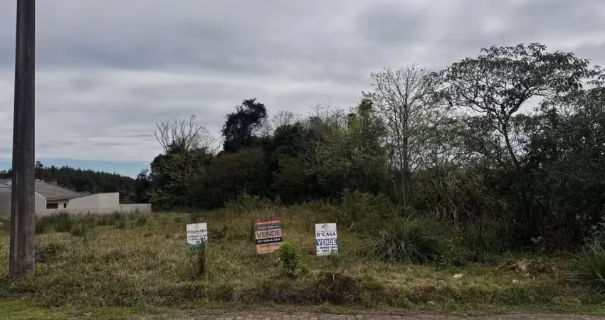 Terreno à venda na Avenida Prefeito Orlando Oscar Baumhardt, 00, Linha Santa Cruz, Santa Cruz do Sul