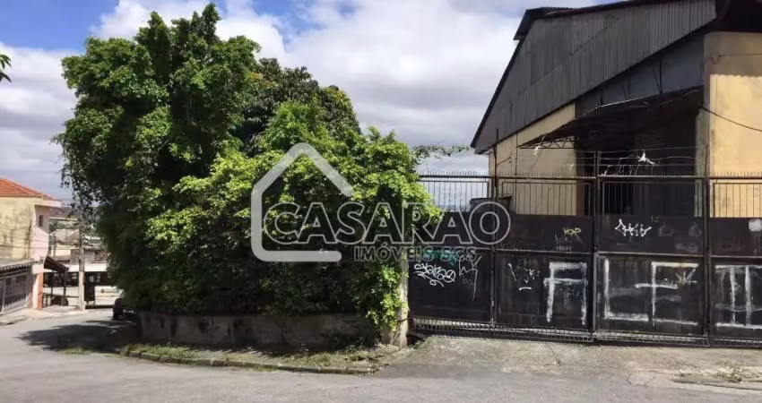 Barracão / Galpão / Depósito para alugar na Vila Mesquita, São Paulo 
