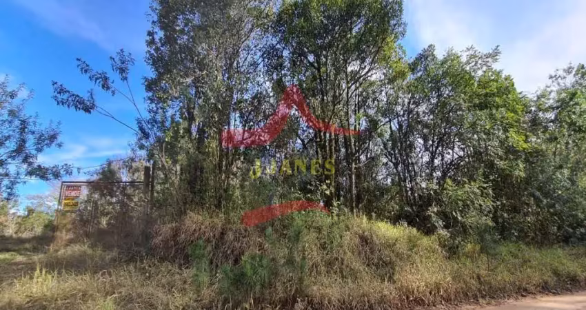 Chácara / sítio com 4 quartos à venda na Estancia Grande, 995, Estância Grande, Viamão