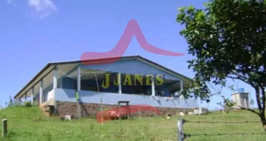 Chácara / sítio com 3 quartos à venda na Beco da Paz, 605, Estância Grande, Viamão