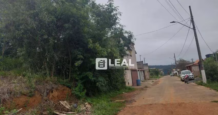 Terreno à venda, 300 m² por r$ 60.000,00 - mirim - matias barbosa/mg
