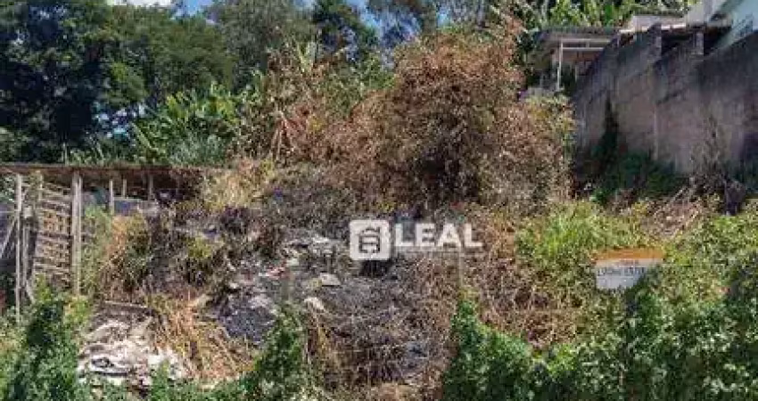 Terreno à venda, 300 m² por r$ 95.000,00 - monte alegre - matias barbosa/mg