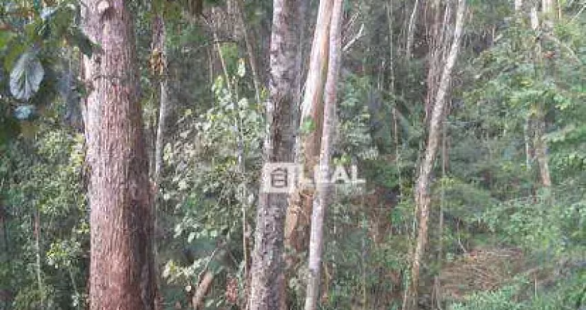 Terreno à venda, 1020 m² por r$ 85.000,00 - pitangueiras - matias barbosa/mg