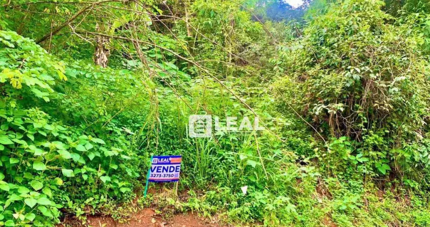 Terreno à venda, 2690 m² por r$ 225.000,00 - miragem - simão pereira/mg
