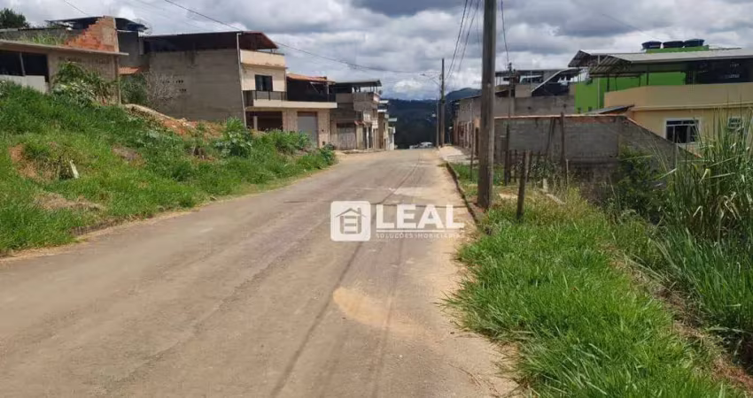 Terreno à venda, 300 m² por r$ 65.000,00 - mirim - matias barbosa/mg