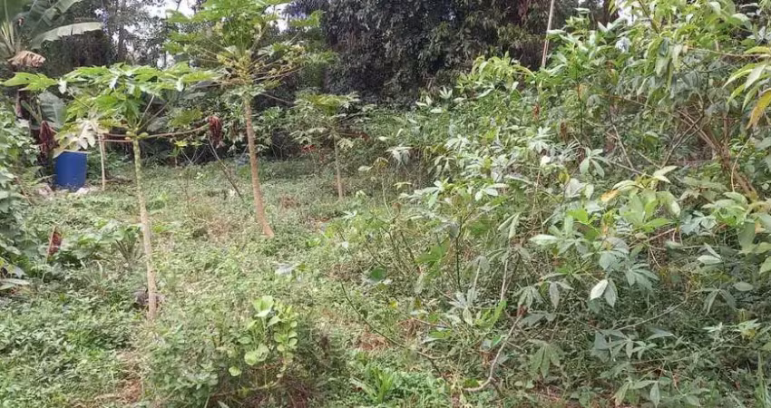 Chácara / sítio à venda na Estrada Paiol, Recanto Campo Belo, São Paulo