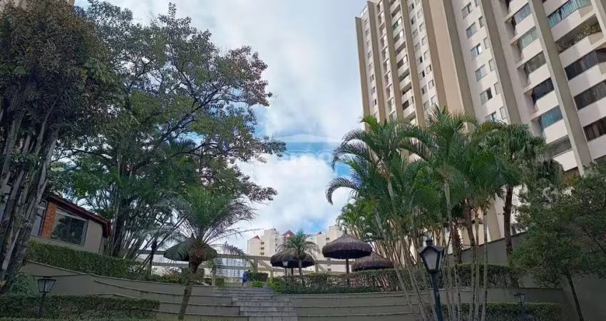 Apartamento com 3 quartos à venda, vila sofia - são paulo