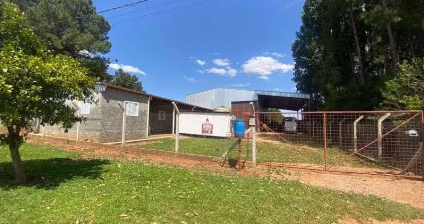Barracão / Galpão / Depósito para alugar na Rua Antonia Buturi Necatschalon, Colônia Dona LuÍza, Ponta Grossa