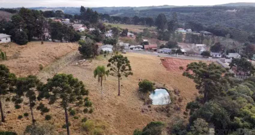 Terreno comercial para alugar na Rua Ambrósio Bricaillo, 788, Chapada, Ponta Grossa