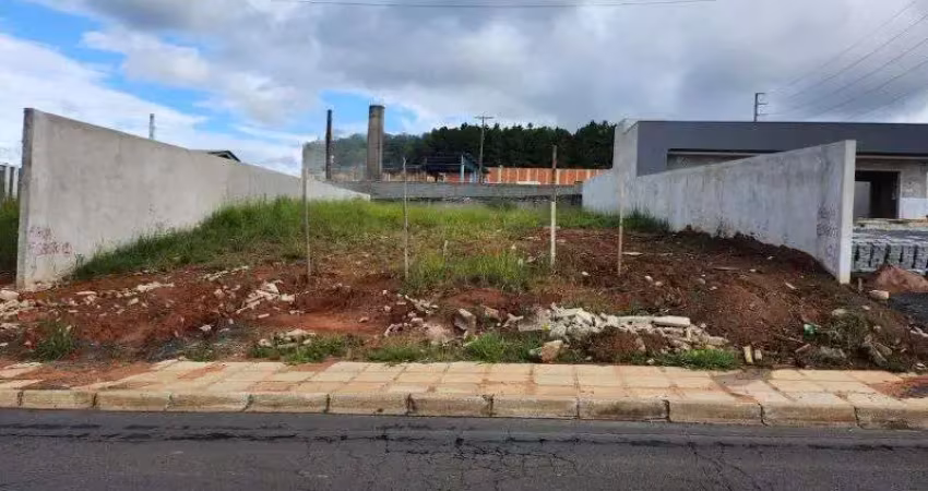 Terreno comercial para alugar na Avenida Monteiro Lobato, S/N, Jardim Carvalho, Ponta Grossa