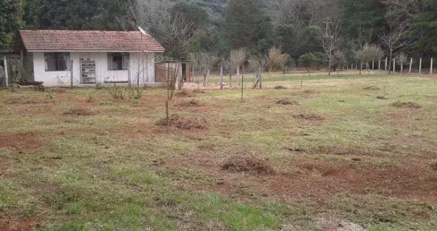 Chácara / sítio para alugar na Rua Francisco Galvão, Chapada, Ponta Grossa