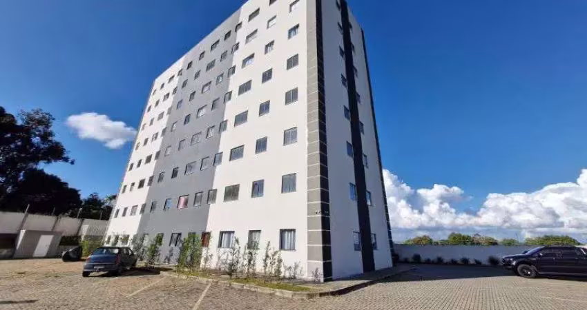 Apartamento com 3 quartos para alugar na Avenida Bispo Dom Geraldo Pellanda, 1296, Uvaranas, Ponta Grossa