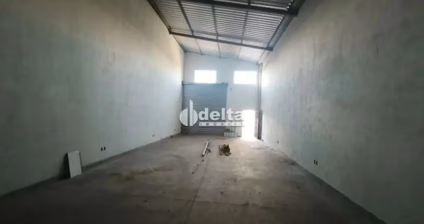 Galpão disponível para locação no bairro custódio pereira em uberlândia-mg